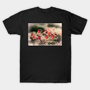 Wind Washed Flowers T-Shirt